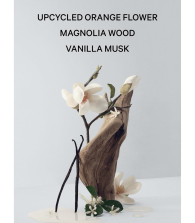 Набор для тела Bare Magnolia Victoria’s Secret мист и лосьон 1159852716 (Бежевый 250 ml/250 ml)