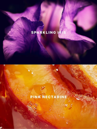 Набір для тіла Iconic Glam Shimmer Victoria's Secret міст та лосьйон 1159854464 (Рожевий 236 ml/250 ml)