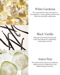 Набор для тела Tease Victoria’s Secret  лосьон и мист 1159855533 (Розовый 250 ml/250 ml)