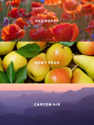 Набір для тіла Canyon Blooms Victoria's Secret міст та лосьйон 1159857278 (Червоний 236 ml/250 ml)