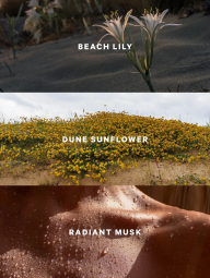 Набор для тела Sundrenched Blooms Victoria’s Secret мист и лосьон 1159859429 (Розовый 236 ml/250 ml)