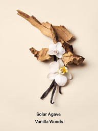 Набор для тела Bare Vanilla Vacation Victoria’s Secret мист и лосьон 1159859619 (Золотистый 236 ml/250 ml)