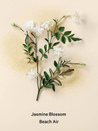 Набір для тіла Love Spell Vacation Victoria's Secret міст і лосьйон 1159859859 (бузковий 236 ml/250 ml)