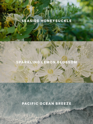 Набір для тіла Coastal Blooms Victoria's Secret 1159860156 (Блакитний 236 мл/250 мл)