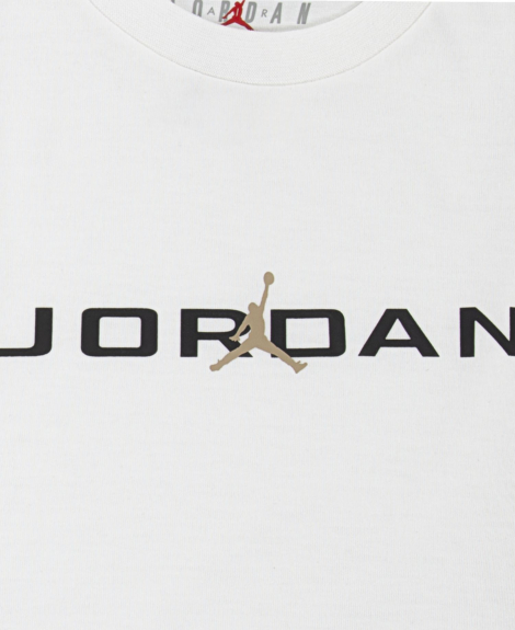 Детский комплект Nike Jordan футболка и шорты 1159860453 (Белый/Бежевый 4T) на рост 98-104 см