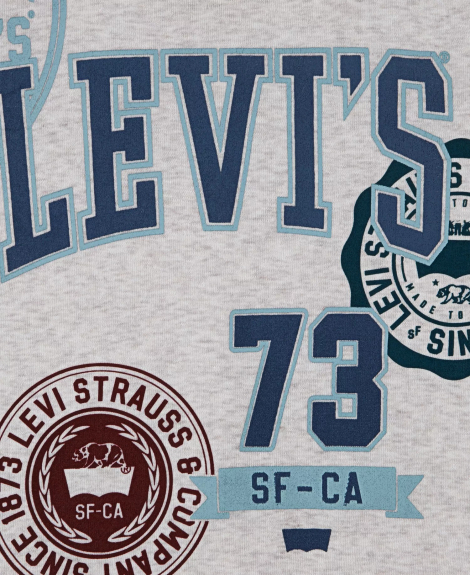 Спортивный костюм на флисе Levi's худи и джоггеры 1159861460 (Серый 2T) на рост 86-92 см
