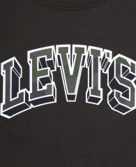 Дитячий комплект Levi's футболка та шорти 1159838327 (Різні кольори 2T)