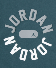 Детский костюм Nike Jordan лонгслив и штаны 1159860172 (Серый/Зеленый 2T) на рост 86-92 см