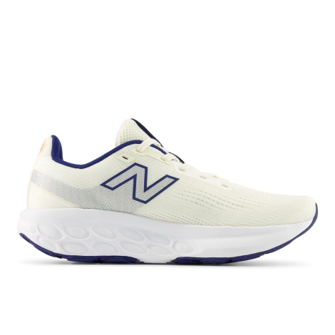 Женские кроссовки Fresh Foam 520v9 New Balance 40,5 (9 US) 25,8 см Молочный 1161025493