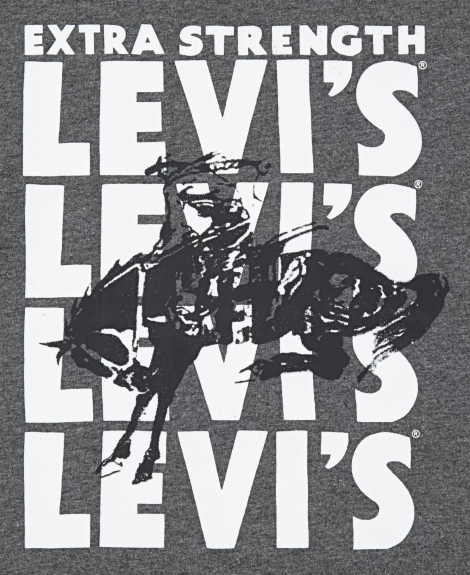 Детский лонгслив Levi's 1160742178 (Серый S) на рост 128-132 см