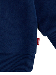 Детский комплект Levi's свитшот и джоггеры 1159830968 (Синий 12M)