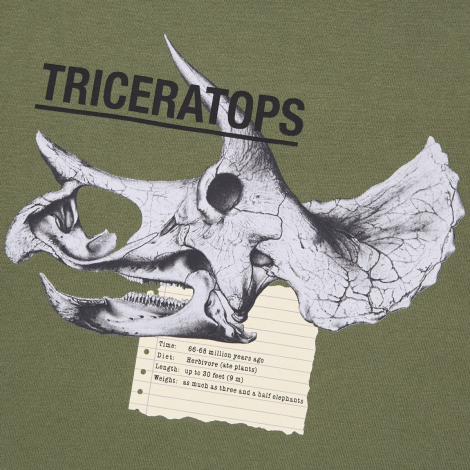 Детская футболка Uniqlo Triceratops 1159784652 (Зеленый, 155-165)