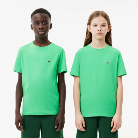 Детская футболка Lacoste 1159815740 (Зеленый 152)