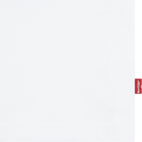 Набор из 2 детских футболок Levi's 1159826491 (Синий/Белый 132-147)
