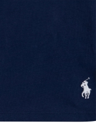 Набір дитячих футболок Polo Ralph Lauren 3шт 1159824870 (Синій M)