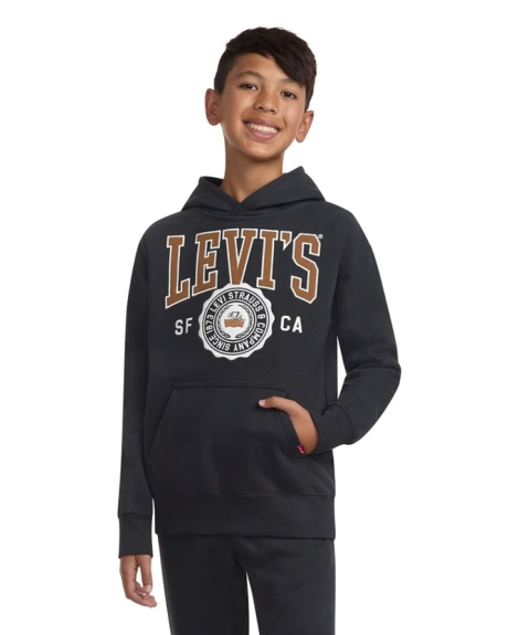 Спортивний костюм Levi's худі та штани 1159838061 (Сірий 2T)
