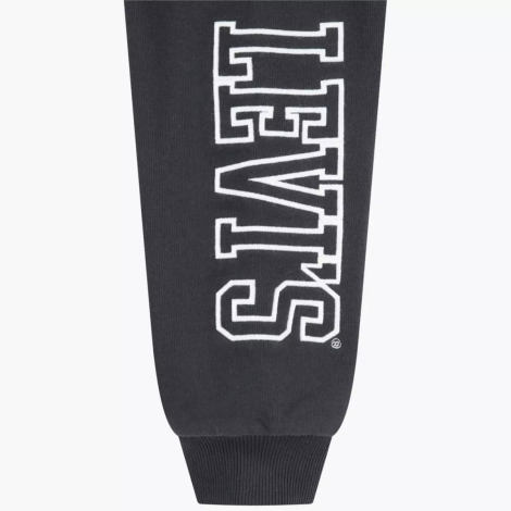 Спортивный костюм Levi's худи и штаны 1159838061 (Серый 2T)
