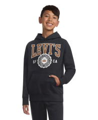 Спортивный костюм Levi's худи и штаны 1159838061 (Серый 2T)