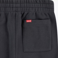 Спортивный костюм Levi's худи и штаны 1159838061 (Серый 2T)