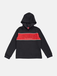 Подростковое худи Guess с логотипом 1159832876 (Черный 16)