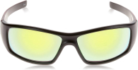 Солнцезащитные очки U.S. Polo Assn 1159780670 (Черный, One size)