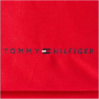 Великий рюкзак Tommy Hilfiger на блискавці оригінал