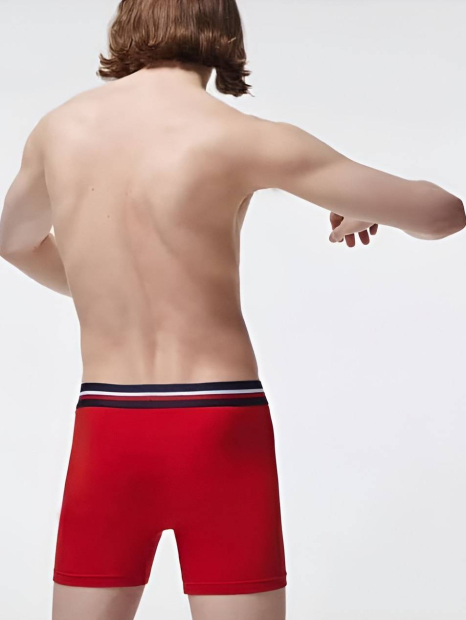 Фирменные мужские трусы боксеры Lacoste набор 1159832680 (Разные цвета L)