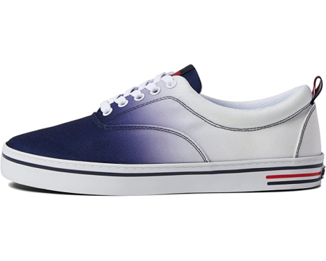 Мужские кеды Tommy Hilfiger с градиентом 1159768250 (Белый/синий, 47)