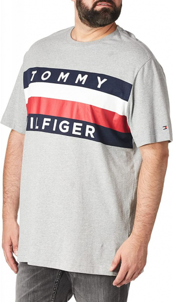 Футболка чоловічий Tommy Hilfiger оригінал