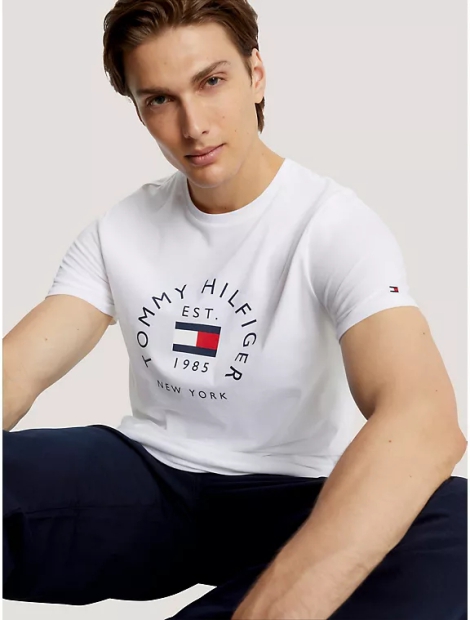 Чоловіча футболка з логотипом Tommy Hilfiger 1159796186 (Білий, M)