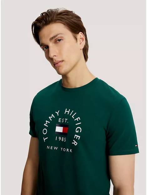 Чоловічі футболки з логотипом Tommy Hilfiger 1159796190 (Зелений, XXXL)