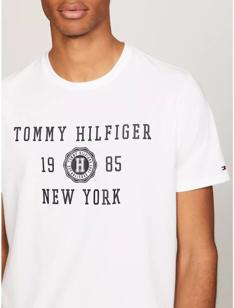 Чоловічі футболки Tommy Hilfiger з логотипом 1159808382 (Білий, XXL)