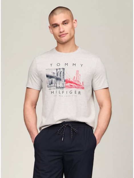 Мужская футболка Tommy Hilfiger с принтом 1159810138 (Серый, M)