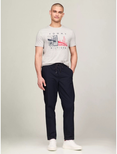 Мужская футболка Tommy Hilfiger с принтом 1159809943 (Серый, XL)