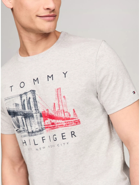 Мужская футболка Tommy Hilfiger с принтом 1159809944 (Серый, 3XL)