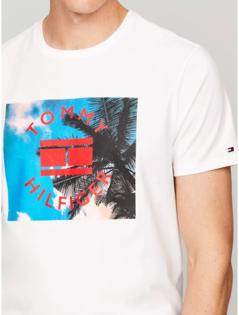 Чоловіча футболка Tommy Hilfiger з принтом 1159808638 (Білий, XL)
