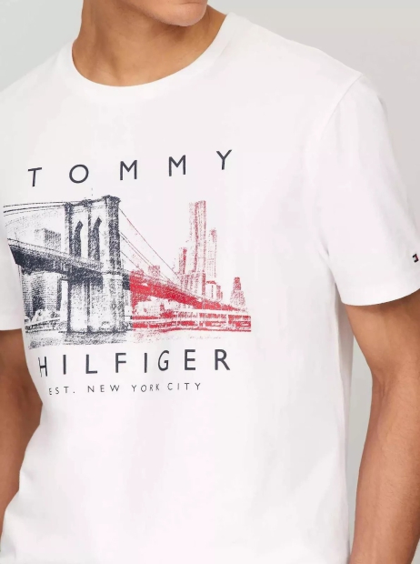 Чоловіча футболка Tommy Hilfiger з принтом 1159808648 (Білий, L)