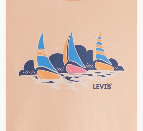 Футболка мужская Levi's с рисунком 1159814534 (Оранжевый, XXL)