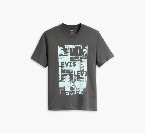 Футболка мужская Levi's с принтом 1159812746 (Серый, S)