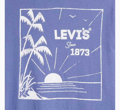 Футболка мужская Levi's с принтом 1159812641 (Синий, XL)