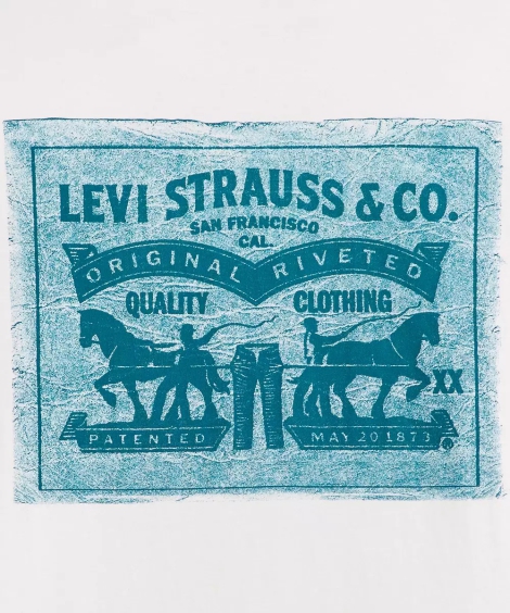 Футболка мужская Levi's с рисунком 1159819121 (Белый M)