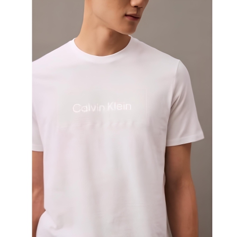 Мужская футболка Calvin Klein с логотипом 1159819204 (Белый XXL)