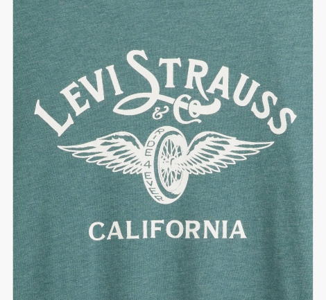 Футболка чоловіча Levi's з принтом 1159820714 (Зелений M)