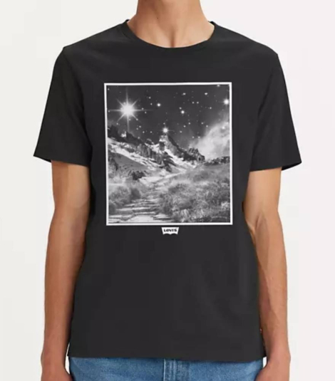Футболка мужская Levi's с коротким рукавом 1159832226 (Черный XL)