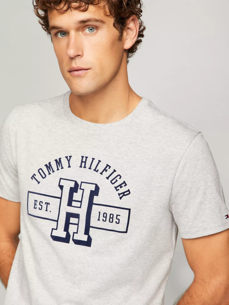 Футболка мужская Tommy Hilfiger с логотипом 1159832909 (Серый XXL)