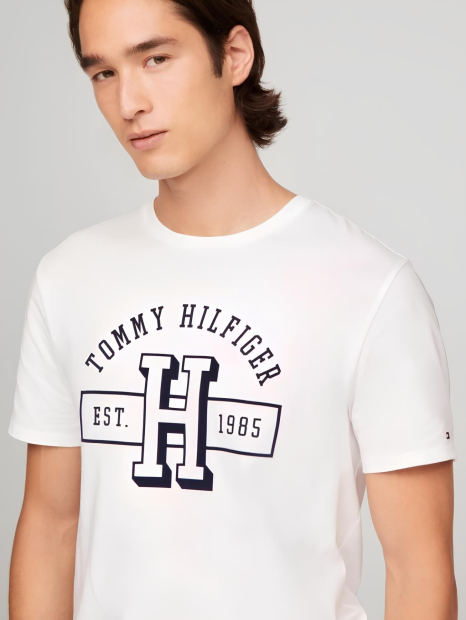Футболка мужская Tommy Hilfiger с логотипом 1159832933 (Белый XXL)