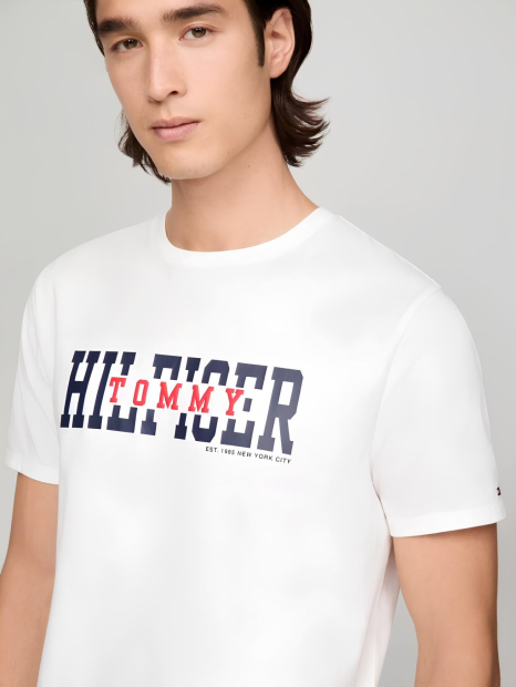 Мужская футболка Tommy Hilfiger с логотипом 1159832950 (Белый XXL)