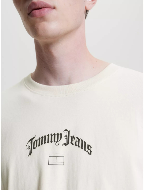 Мужская футболка Tommy Hilfiger с логотипом 1159832954 (Бежевый XXL)