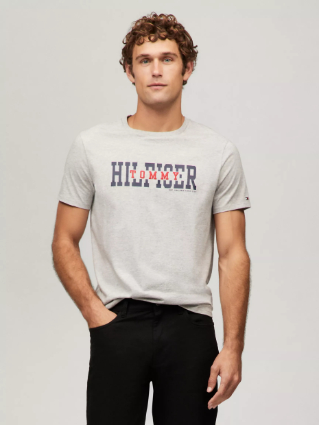 Мужская футболка Tommy Hilfiger с логотипом 1159833367 (Серый XXL)