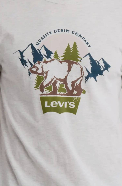Жіноча футболка Levi's 1159836922 (Сірий XL)